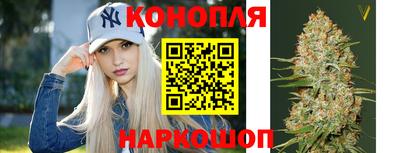 гашик Гагарин