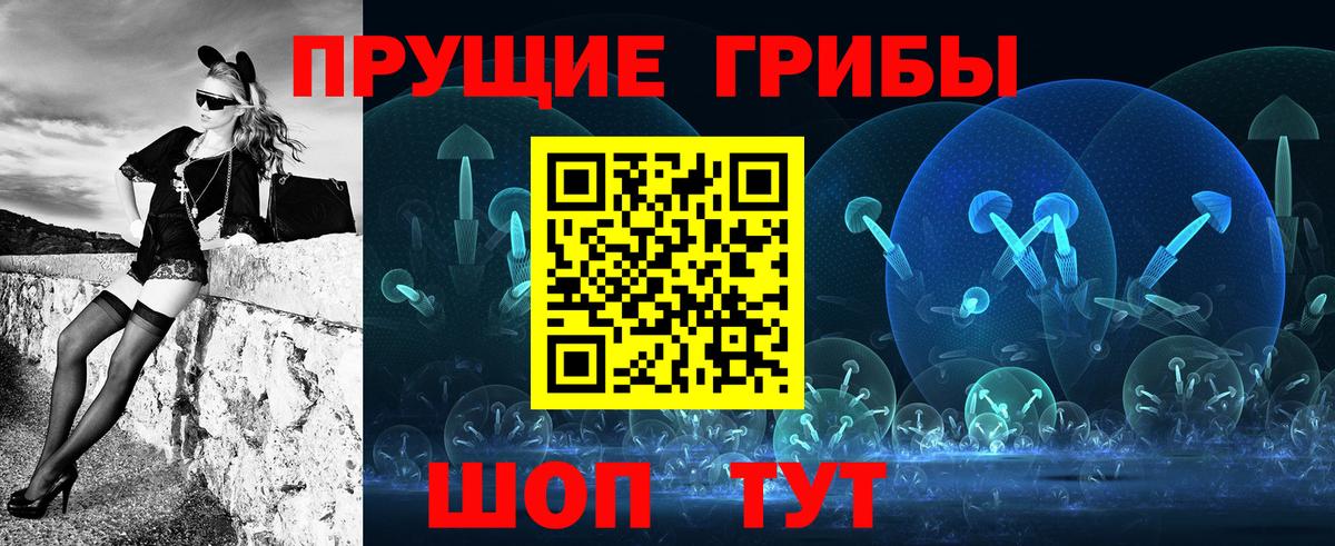 купить закладку  Вход с VPN  Нижнеудинск  Псилоцибиновые грибы GOLDEN TEACHER 